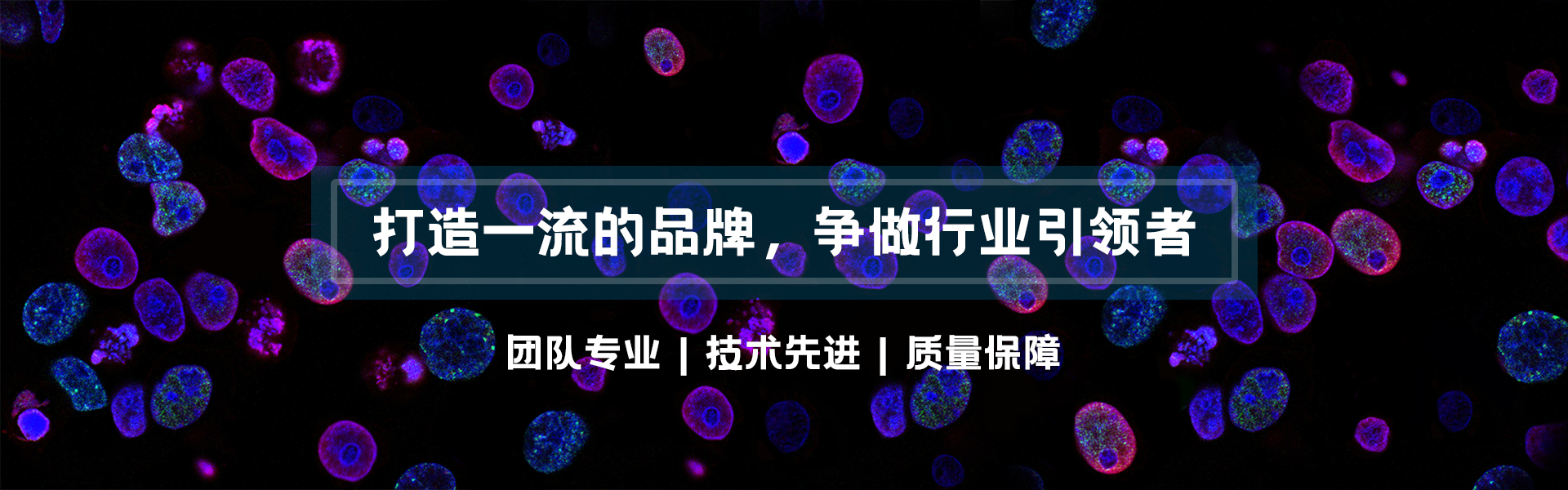 10年的堅持，不斷的創新